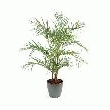 PLANTE ARTIFICIELLE D'INTÉRIEUR ARECA EN POT - EXCLU WEB -