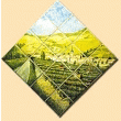 FRESQUE SUR CARRELAGE - VENDANGES EN BEAUJOLAIS