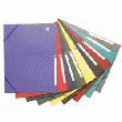10 CHEMISES 3 RABATS + ÉLASTIQUE CARTE LUSTRÉE 5/10 COULEURS ASSORTIES