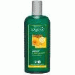 LOGONA SHAMPOOING NATUREL VOLUMATEUR MIEL ET BIÈRE LOGONA