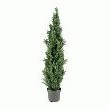 PLANTE CYPRÈS CÔNE ARTIFICIEL D'EXTÉRIEUR - EXCLU WEB -