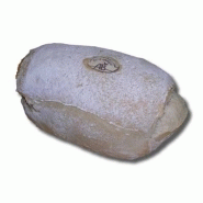 PAIN BIO TRADITIONNEL - PAVé DE CAMPAGNE