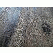 PARQUET VIEILLI VAL DE LOIRE GRIS RéF P016