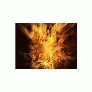 FORMATION INCENDIE EPI, NIVEAU II