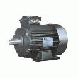 MOTEUR ASYNCHRONE TRIPHASé LS MV
