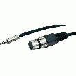 CÂBLE ADAPTATEUR PACCS 3M XLR / MINI JACK