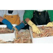 GANTS DE MANIPULATION  POUR INDUSTRIES ALIMENTAIRES SUPERFOOD