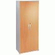 IRIUM ARMOIRE HAUTE H190XL80 GRIS ALU + 2 PORTES HAUTES POIRIER + 4 TABLETTES. IRIUM ARMOIRE HAUTE H190XL80 GRIS ALU + 2 PORTES HAUTES POIRIER + 4 TABLETTES.