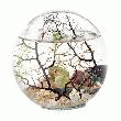 BIOGLOBE GORGONE 30 CM