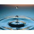 PRESTATION DESINFECTION EAU