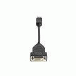 HP - CÂBLE DVI - DISPLAYPORT (M) - DVI-D (F) - 19 CM - POUR HP 60XX, 6200, POINT OF SALE SYSTEM RP5800, PROBOOK 64XX, 65XX, THIN CLIENT ST5748
