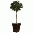 PLANTE ARTIFICIELLE EN SOIE LAURIER BOULE 150CM AVEC POT EN ACIER ZINGUE ET SACHET DE GRANULES HYDRO.