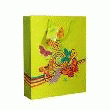 KIT DE 25 SACS CORDELETTES BUTTERFLY LIME / JARDIN