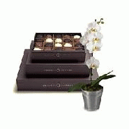 COFFRET CHOCOLAT+ UNE BELLE ORCHIDÉE - LUXE ET GOURMANDISE