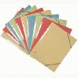 10 CHEMISES 3 RABATS ÉLASTIQUE - EXACOMPTA - EUROFOLIO NATURE - ASSORTIS