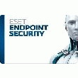 E: RENOUVELLEMENT 2 ANS ESET ENDPOINT SECURITY 5-10 POSTES (A L\'UNITÉ)