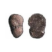 CHAMPIGNON - LA TRUFFE NOIRE