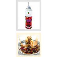 COULIS SURGELéS GAMME PROFESSIONNELLE