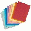 CHEMISE 240G COLORIS ASSORTIS.
