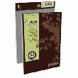 BLOC PAPIER - CALLIGRAPHE - FOREVER - 100 FEUILLES AGRAFÉ FORMAT A4 70 G/M² PETITS CARREAUX