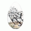 BIOGLOBE OEUF AVEC GORGONE 16 CM