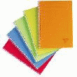 CAHIER DE 100 PAGES GRANDS CARREAUX 170 X 220 90G