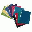 10 CHEMISES 3 RABATS À ÉLASTIQUES - ELBA - TRANSLUCIDES COULEURS ASSORTIES
