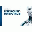 E: LICENCE 1 AN ESET ENDPOINT ANTIVIRUS 25-49 POSTES (A L\'UNITÉ)
