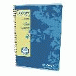 CAHIER RECYCLÉ SPIRALE CLAIREFONTAINE FOREVER A4 21 X 29,7 CM - PETITS CARREAUX 180 PAGES  - CALLIGRAPHE