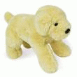 LABRADOR MIEL BLANC 30CM  LABRADOR MIEL BLANC