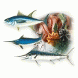 POISSON FUME