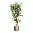 PLANTE ARTIFICIELLE D'INTÉRIEUR BAMBOU + POT -