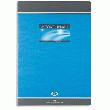 CAHIER DE DEVOIRS CONQUÉRANT 7 - 96 PAGES - 17 X 22 CM - PETITS CARREAUX - 70 G