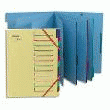 TRIEUR 12 COMPARTIMENTS EXTENDOS - BLEU EN CARTE FORTE