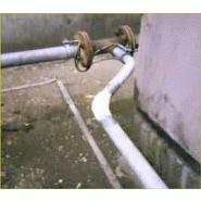 PRODUIT DE RÉPARATION DE FUITES DE TUYAUTERIE METAL TECH PR