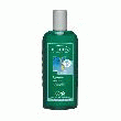 LOGONA SHAMPOING SENSITIF À L'ACACIA SHAMPOING CHEVEUX SEC