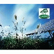 PANNEAUX SOLAIRES 280 W MONOCRISTALLINS