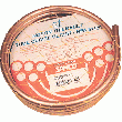 TUBE DE CUIVRE RECUIT EN COURONNES