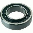 ROULEMENT À ROULEAUX CYLINDRIQUES Ø DE LARBRE 100 MM CHARGE DYN. 295000 N CHARGE STAT. 305000 N FAG NU220-E-M1A-C3