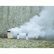FUMIGÈNES D'EXERCICE