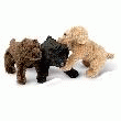 CANICHE MIEL, CARAMEL OU CHOCOLAT 24CM  CANICHE CHOCOLAT