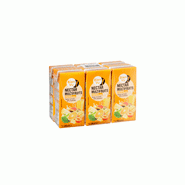 BIEN VU NECTAR MULTIFRUITS SLIM BRIQUETTES 6 X 20 CL