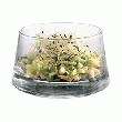 VERRINE VERTIGO 37CL - LOT DE 4 - DUROBOR