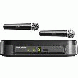DOUBLE MICRO SANS FIL À MAIN SHURE PG288E