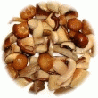 COCKTAIL DE CHAMPIGNONS