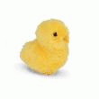 POUSSIN JAUNE 6CM OU 12CM  POUSSIN 10CM