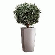 PLANTE ARTIFICIELLE D'INTÉRIEUR LAURIER + POT -