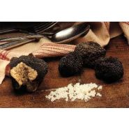 CHAMPIGNONS DES BOIS - TRUFFE D'ETE