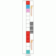SYSTÈME DE CLASSEMENT FACILE 2R