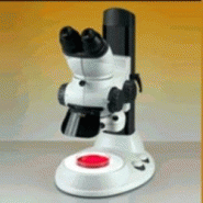 MICROSCOPE A OCULAIRES